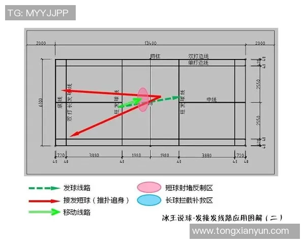深圳羽毛球队的战术解析与转换体系探讨