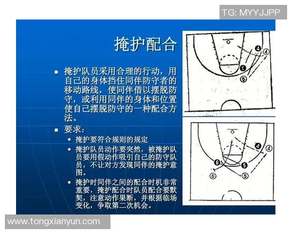 深度剖析深圳羽毛球队配合策略与战术对比分析